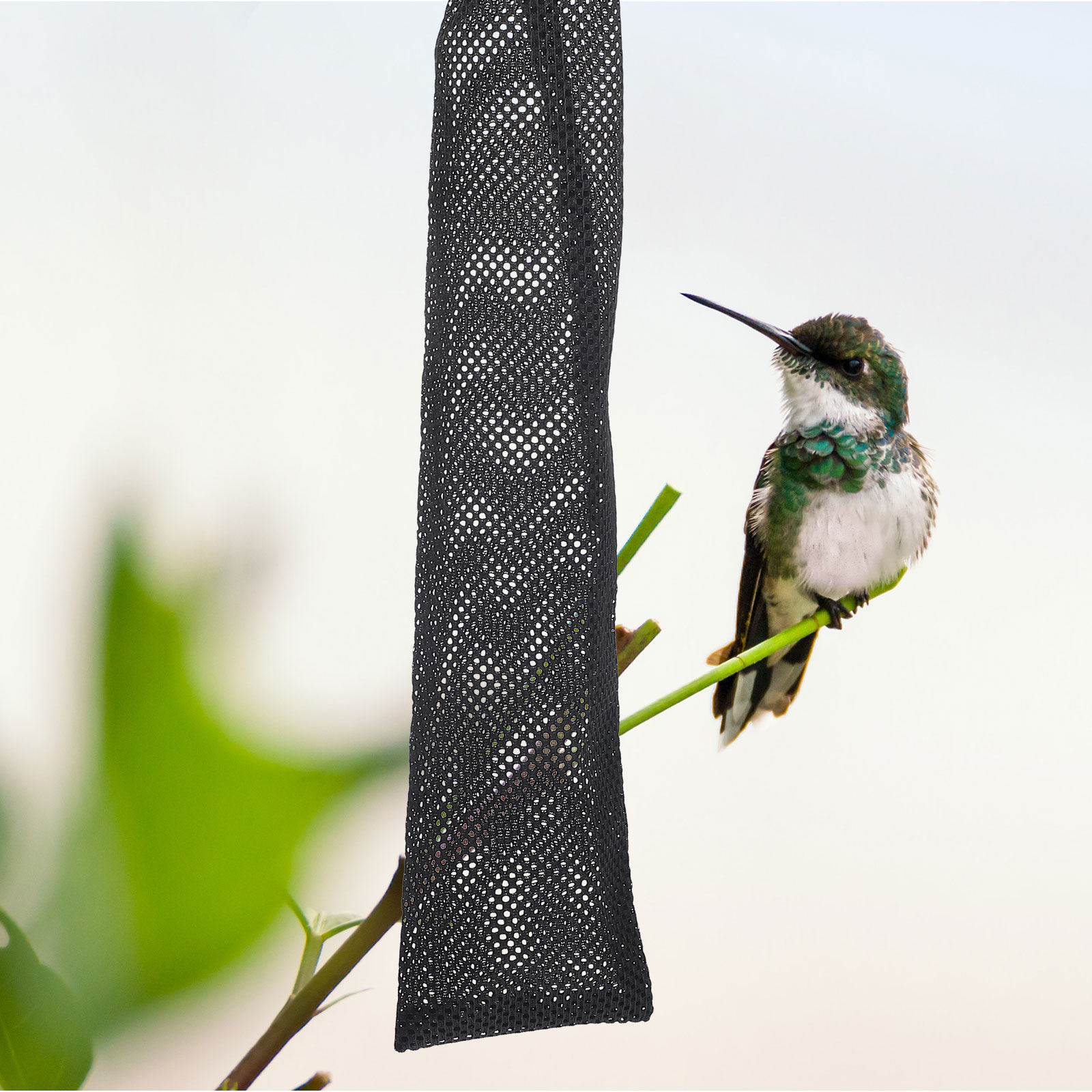 3Pcs Birds Feeding Bags Nylon  - Mesh Feeder Bag 评论和价格